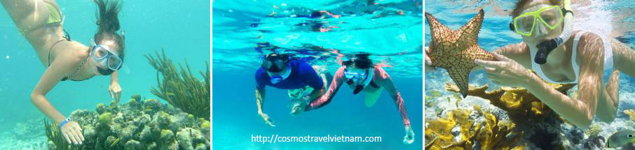Diving & Scuba in Phu Quoc Island, Vietnam